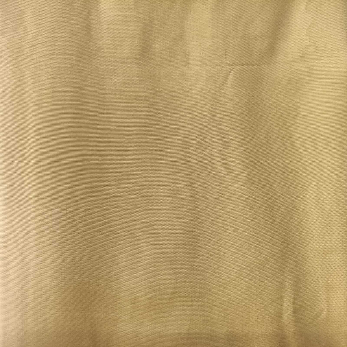 CRÈME GOLD CHANDERI PRINTED SUIT WITH ORGANZA DUPATTA